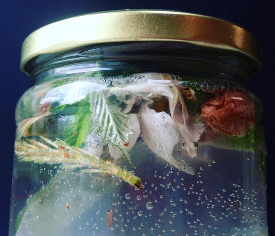 Fermentation2 © Edible Alchemy