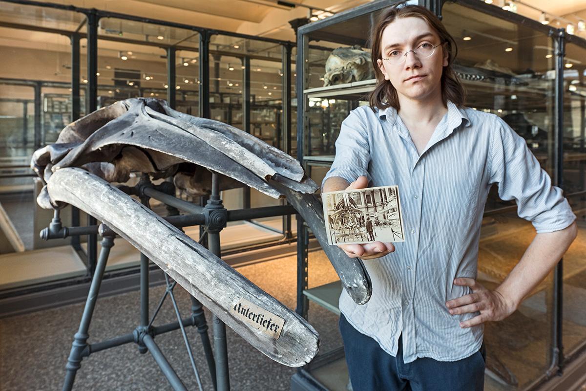 Porträt des Restaurators und Präparators Enea Conte mit einer historischen Fotografie der Walhalle des Museums um 1893, neben dem Präparat im Jahr 2023 stehend, Carola Radke MfN 