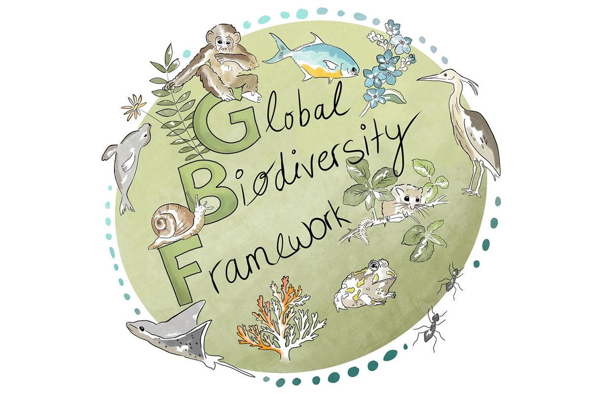 Illustration  zum Global Biodiversity Framework