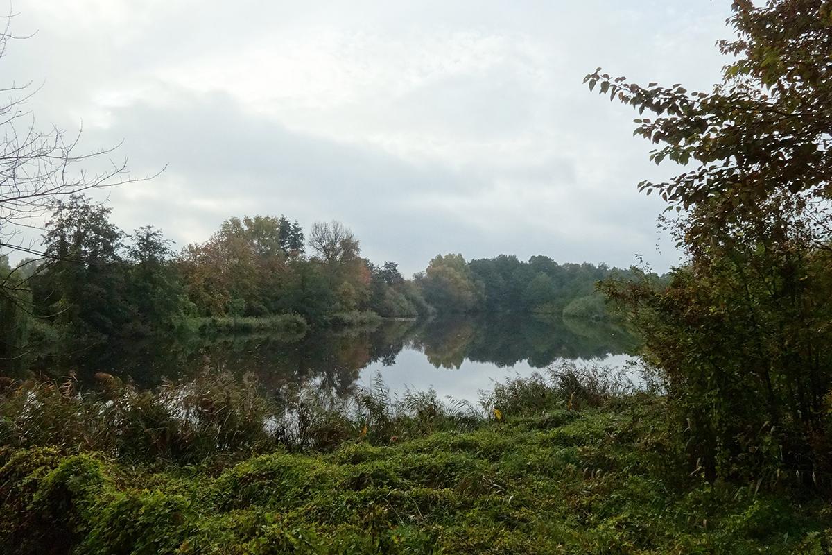 Blick auf die Karower Teiche