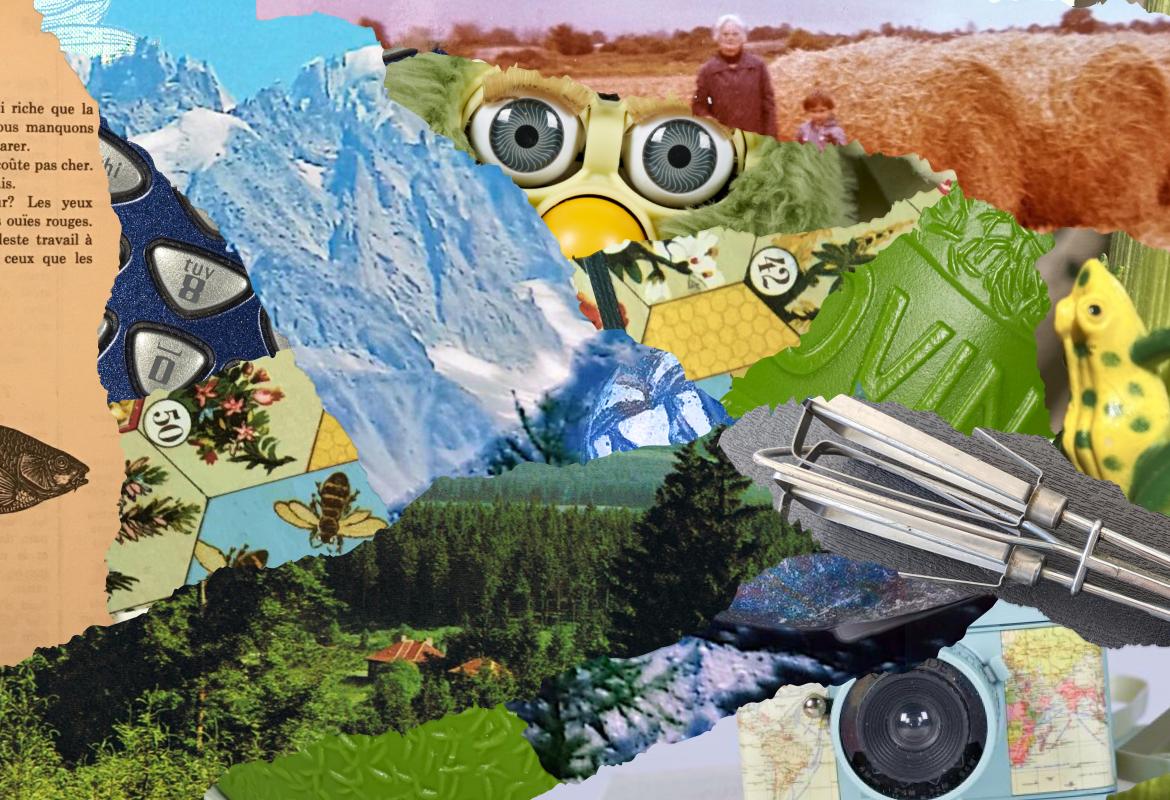Object collage made from collection objects from Changing Natures