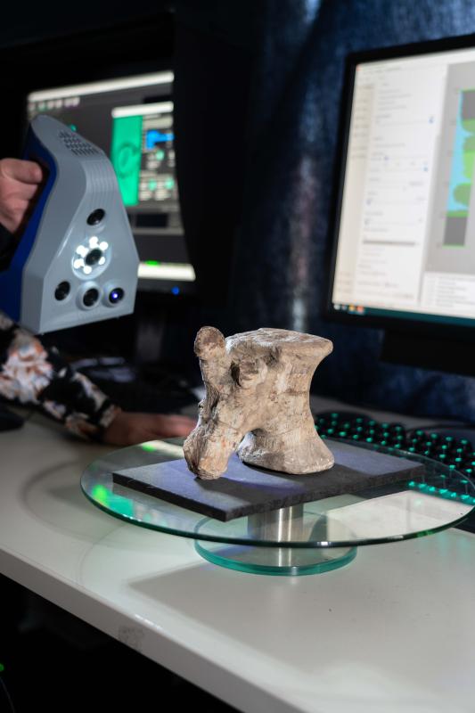 Artec Laser Scanner beim Scannen eines kleinen Wirbelknochens Artec Laser Scanner beim Scannen eines kleinen Wirbelknochens