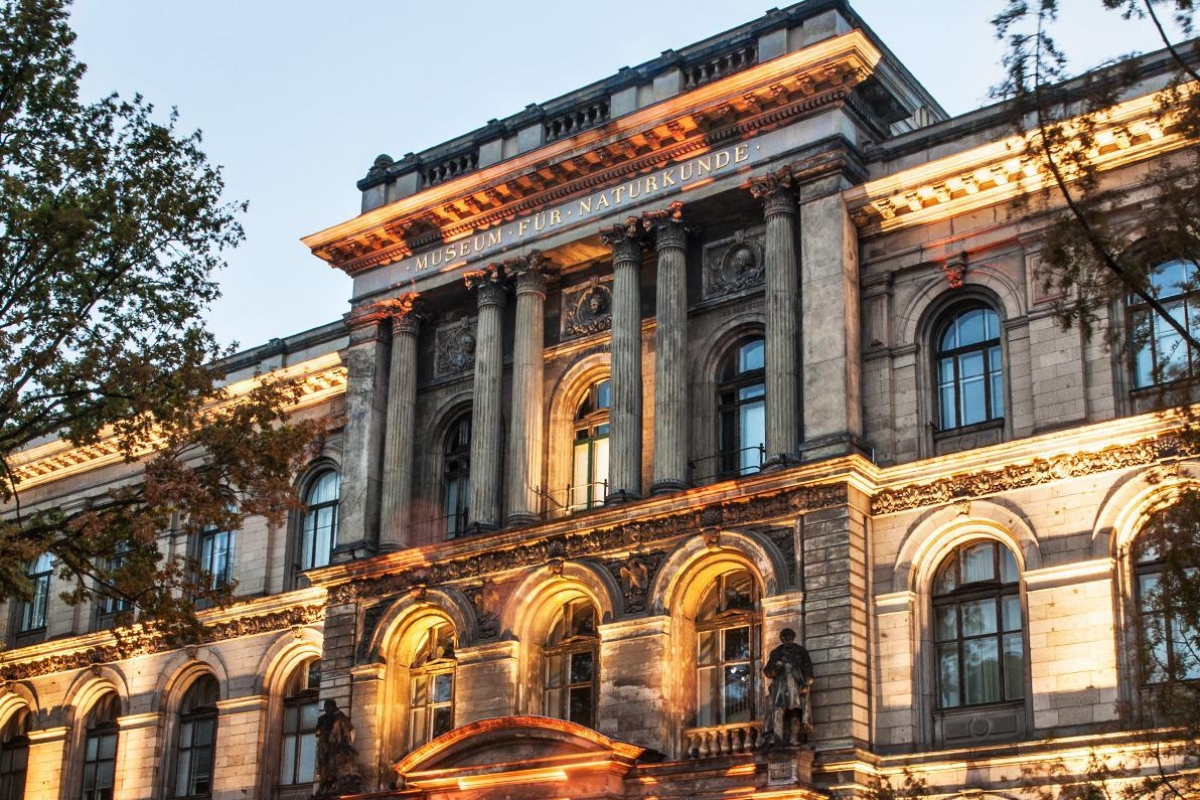 The main facade of the Museum für Naturkunde Berlin in the evening