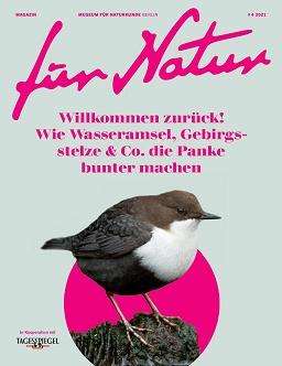 Cover Journal Für Natur, Ausgabe 4/2021 | Bildquelle: Der Tagesspiegel Cover Journal Für Natur, Ausgabe 4/2021 | Bildquelle: Der Tagesspiegel