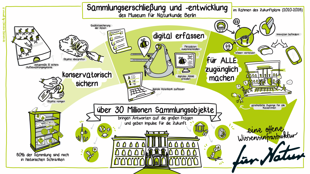 Poster zum Projekt Sammlungserschließung und -entwicklung mit grafischen Elementen, die Sammlungsobjekte darstellen