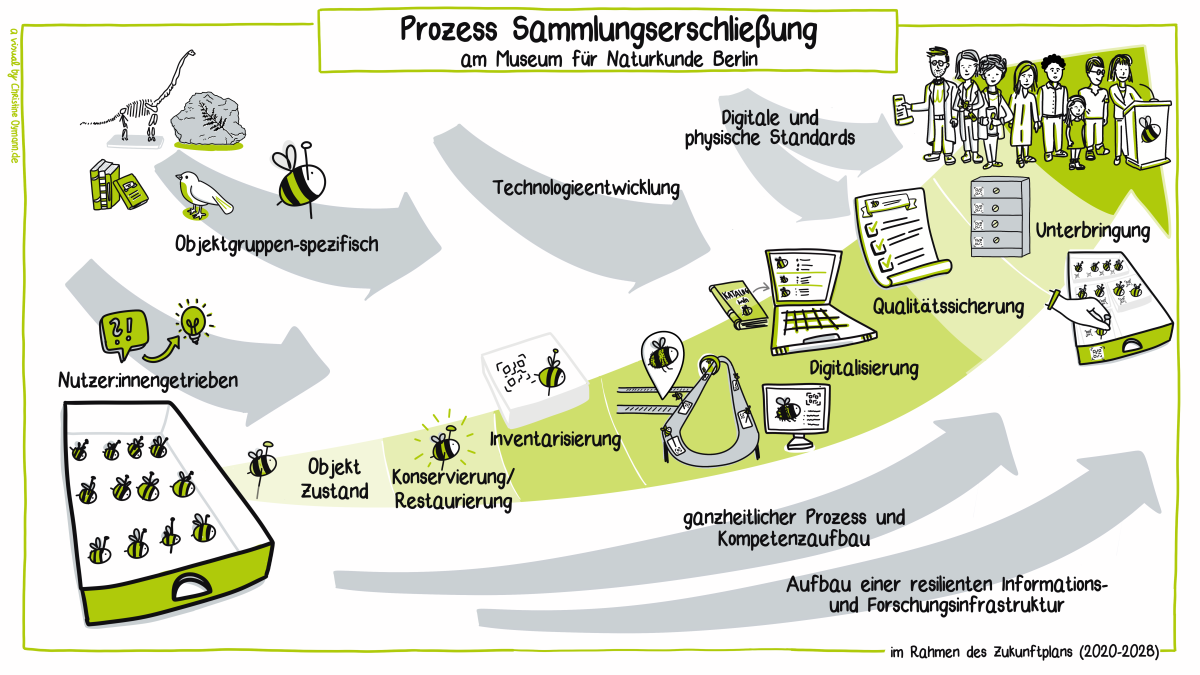 Poster zum Prozess Sammlungserschließung und -entwicklung mit grafischen Elementen, die Sammlungsobjekte darstellen Poster zum Prozess Sammlungserschließung und -entwicklung mit grafischen Elementen, die Sammlungsobjekte darstellen