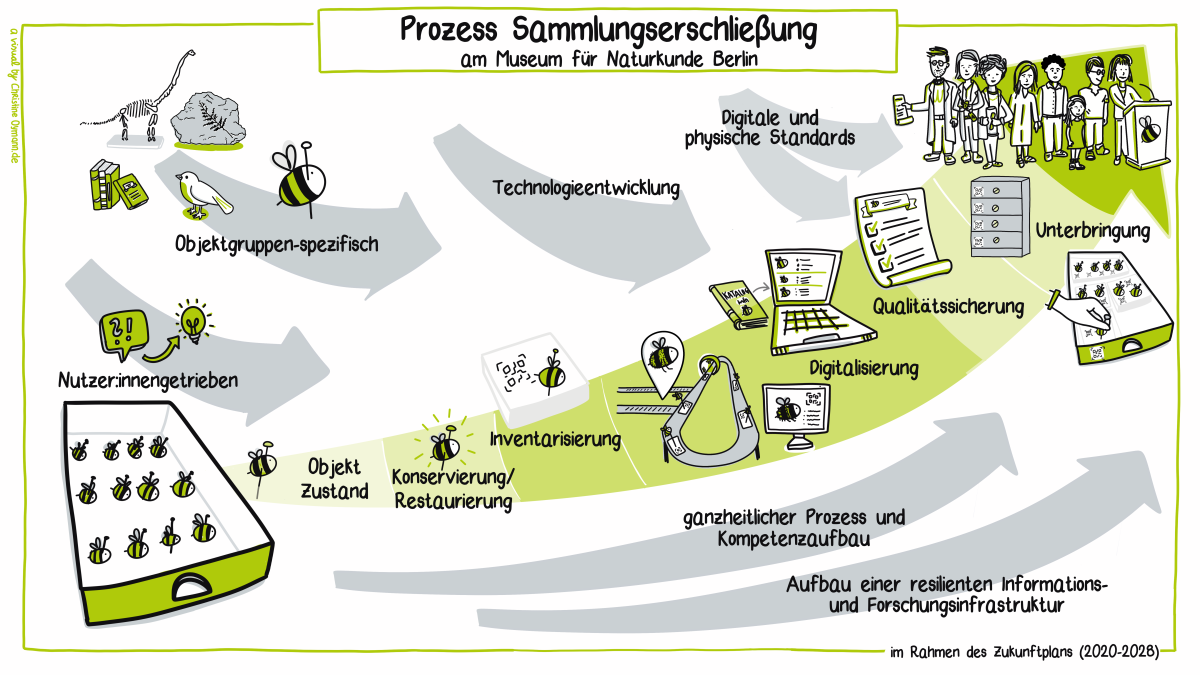 Poster zum Prozess Sammlungserschließung und -entwicklung mit grafischen Elementen, die Sammlungsobjekte darstellen