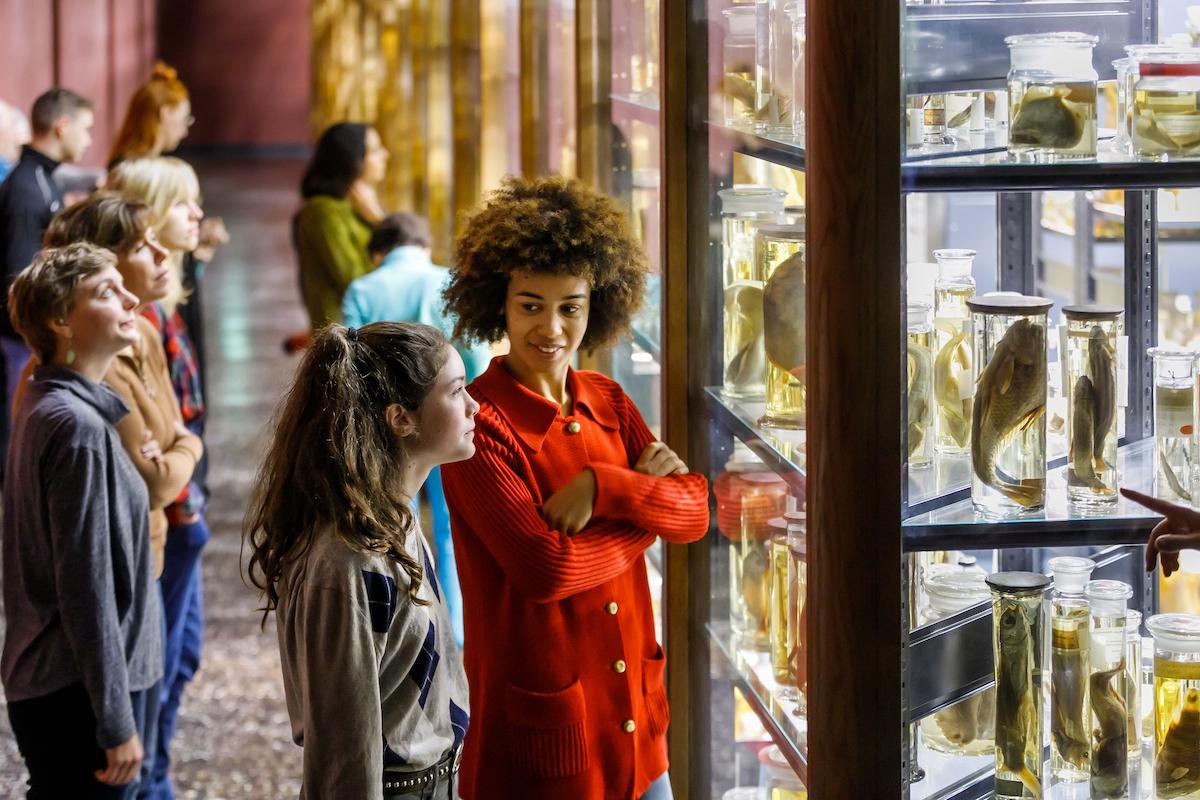 Visitors view the wet collection of the Museum für Naturkunde Berlin