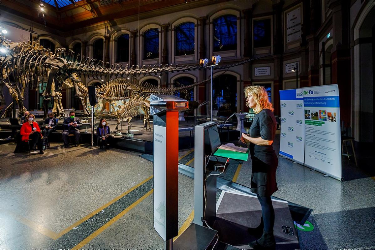 Bundesministerin Steffi Lemke spricht im Sauriersaal des berliner Naturkundemuseums zu Biodiversität