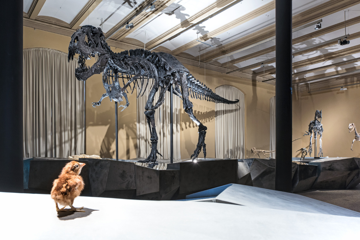 Dinosaurier Tristan Otto und Küken