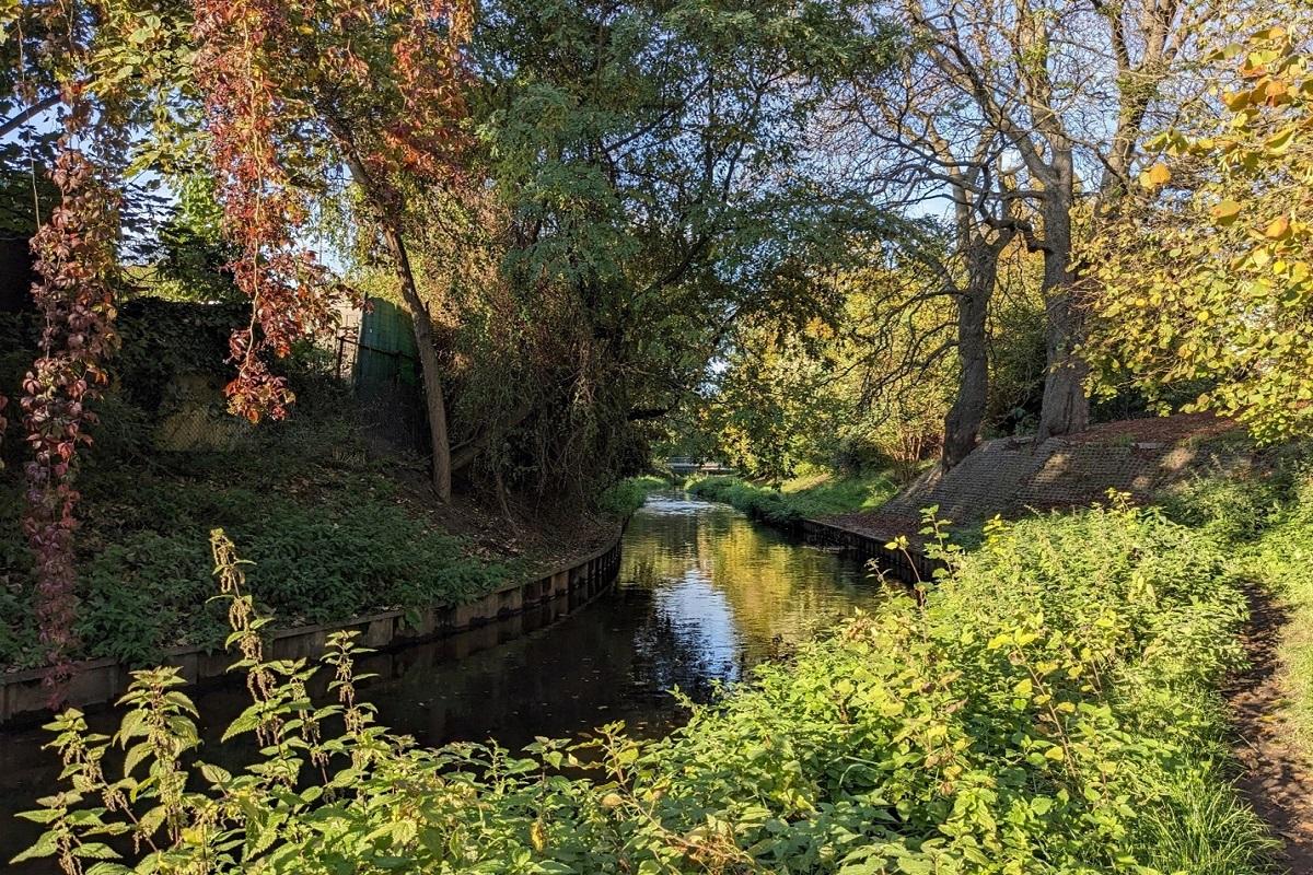 Der Fluss "Panke" mit dicht bewachsenem Ufer 