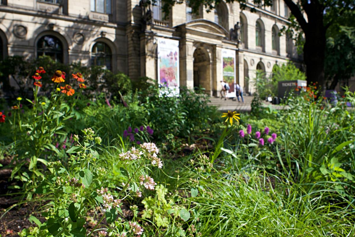 Blick auf den blühenden Pollinator Garten auf dem Vorplatz des Museums