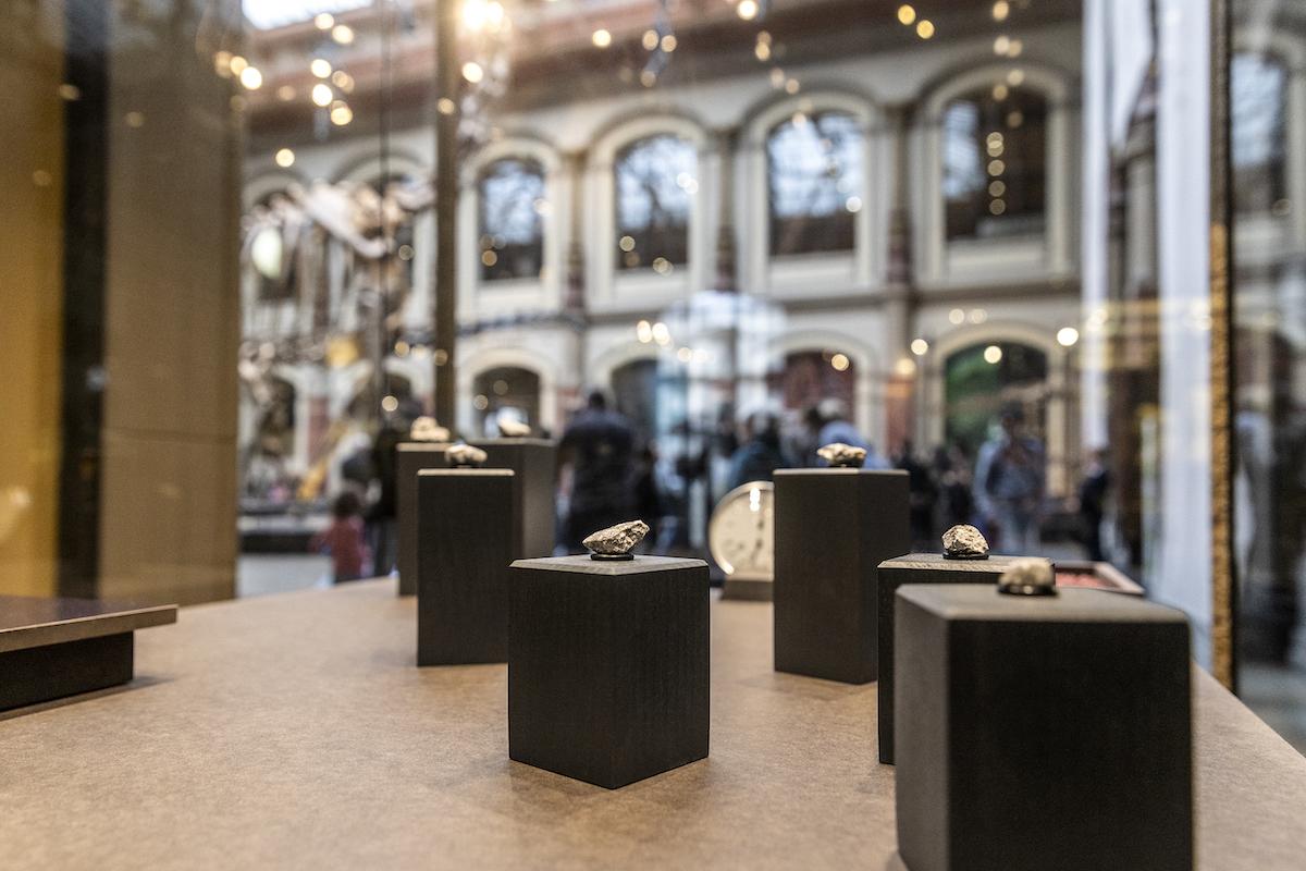 Bruchstücke des Ribbeck-Meteoriten im Mineraliensaal des Museums für Naturkunde Berlin