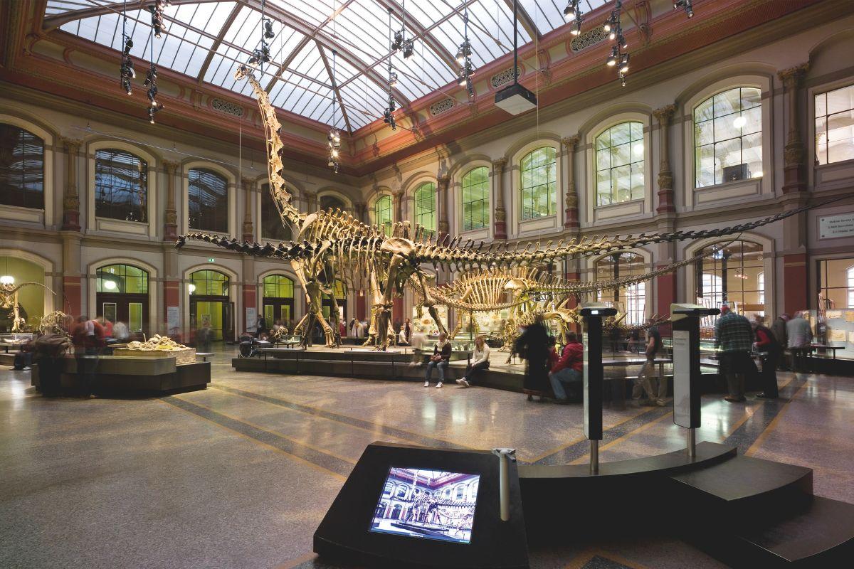 Dinosauriersaal im Museum für Naturkunde Berlin