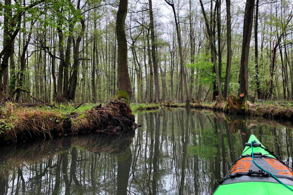 Spreewald