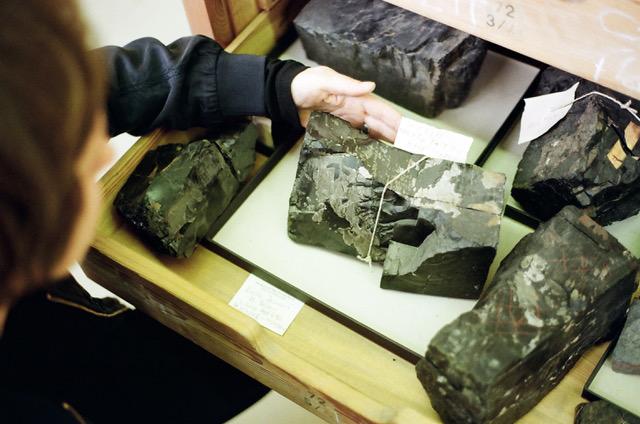 Die Künstlerin in der Sammlung des Museums