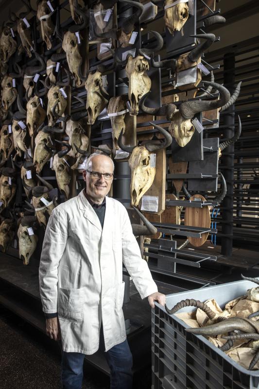 Umzug Geweihkeller, Frieder Mayer Umzug Geweihkeller, Frieder Mayer
