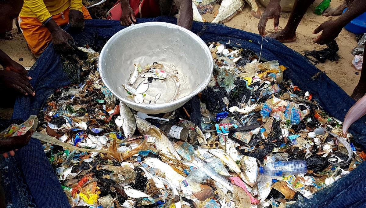 Coastal plastic and fish sorting in Accra, Ghana