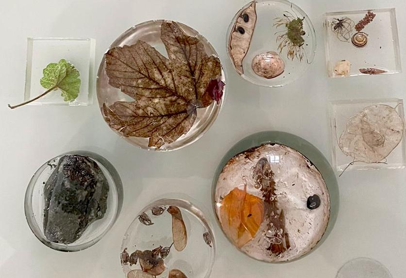 Objects as plants, seeds and snail shells were cast into small moulds with epoxy resin. © Nicola E. Petek 