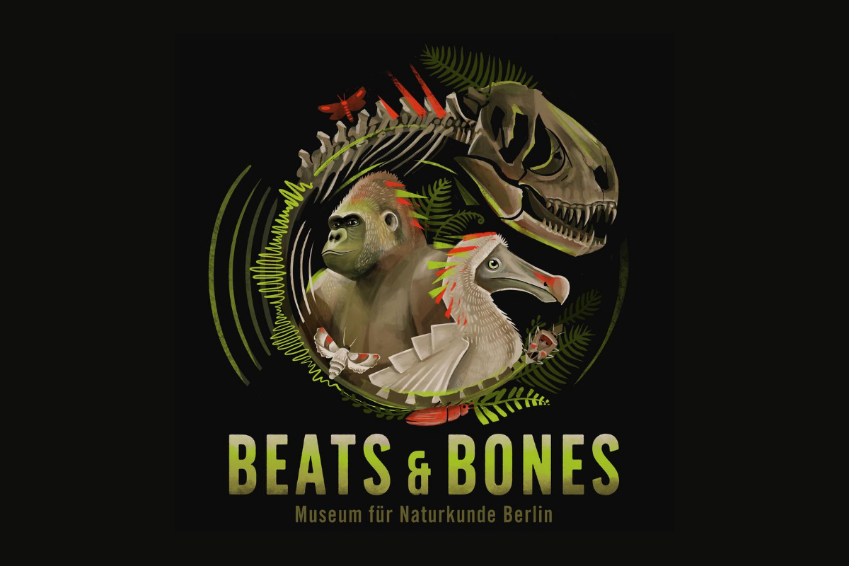 Anything Bones Podcast