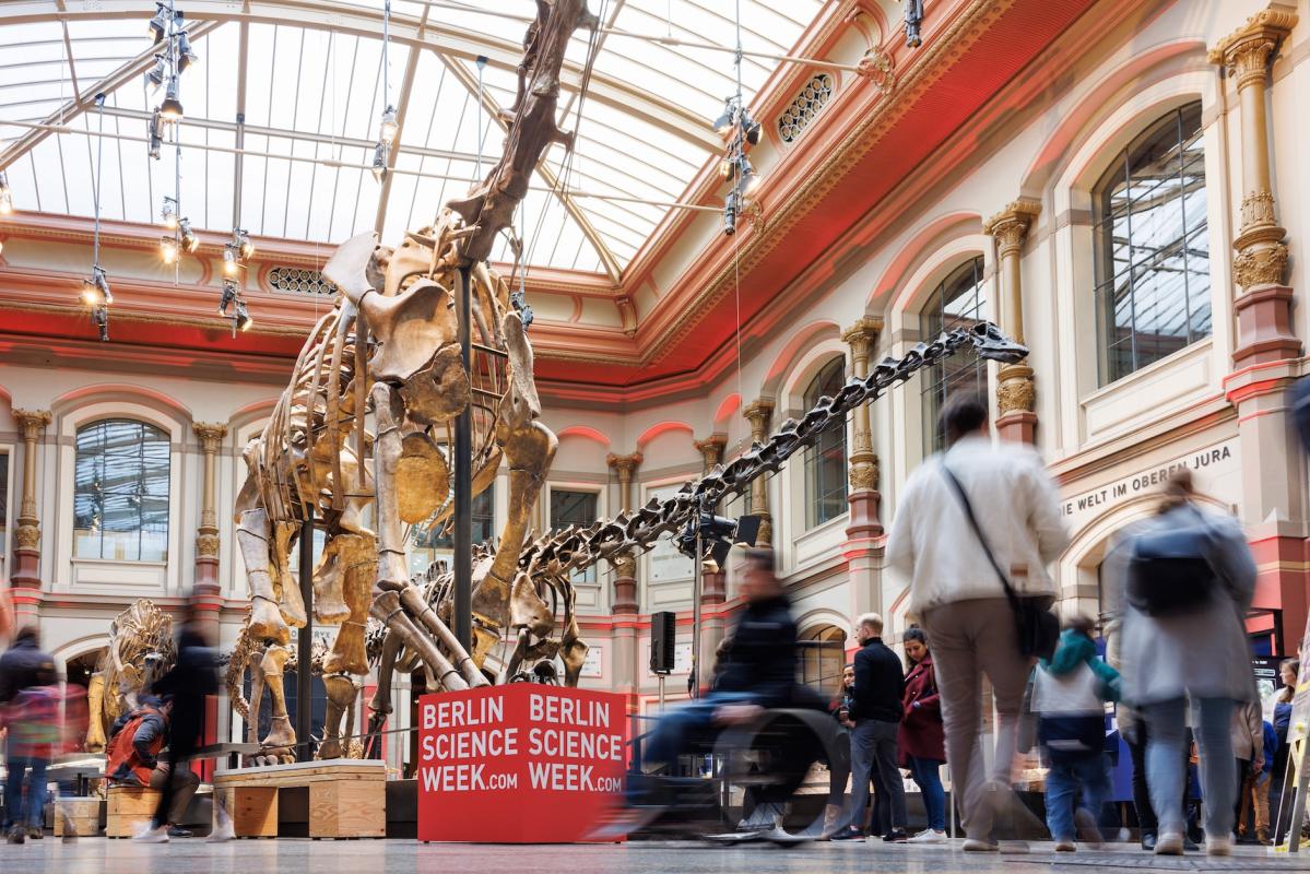 Berlin Science Week Visual im Sauriersaal des Museums für Naturkunde