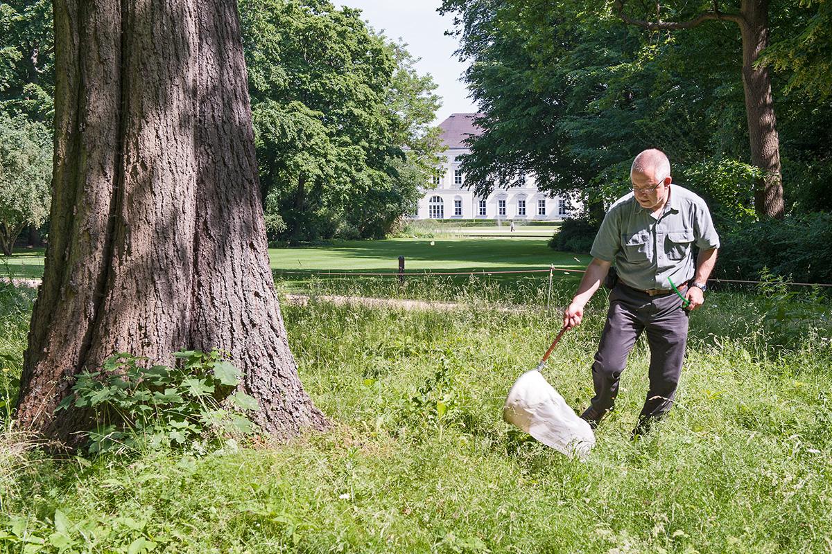 Insektensammeln in Parkanlage beim Bioblitz mit dem Orion Verein, Foto: (c) Carola Radke