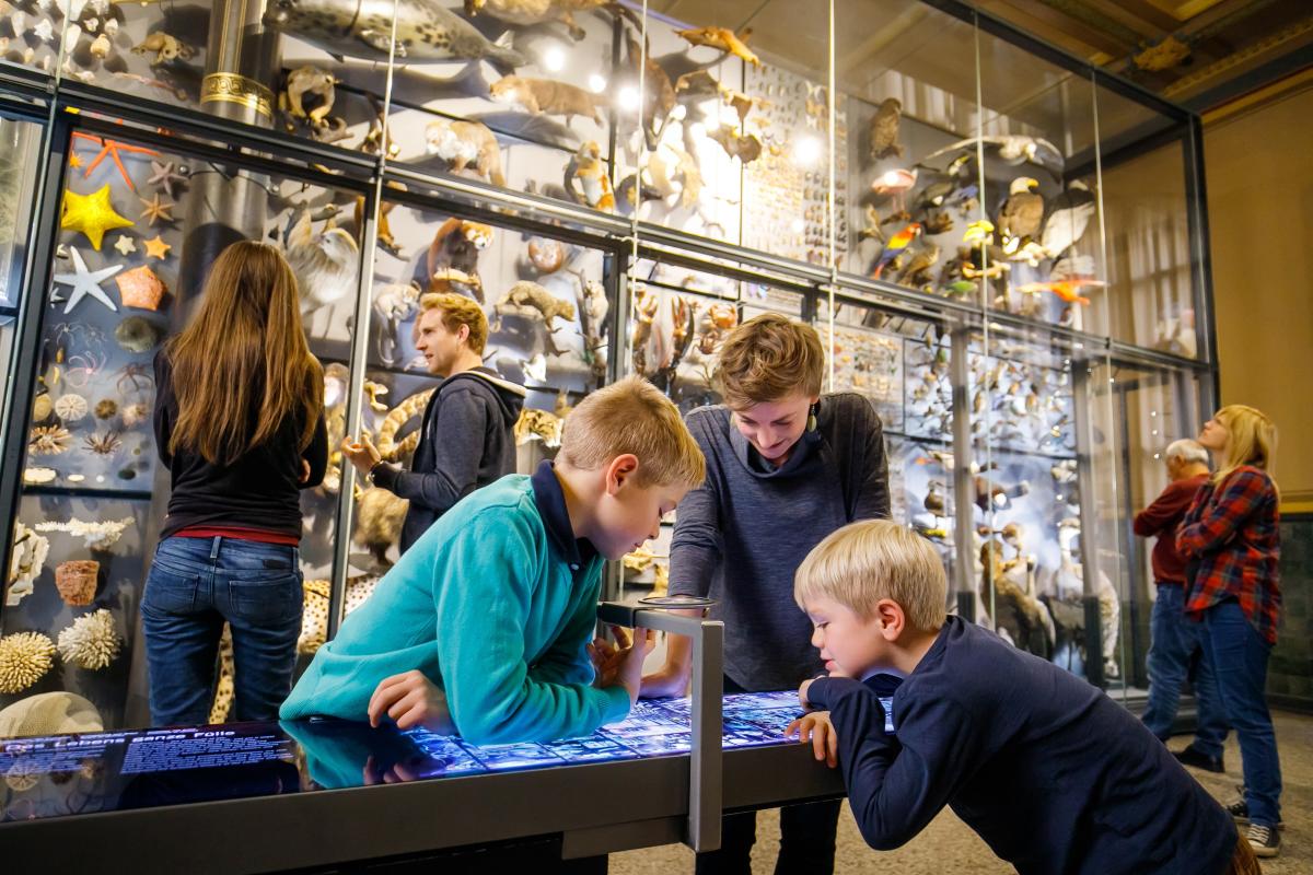 A guide and two children discover the museum's so-called Biodiversity Wall with 3,000 different animal specimens.