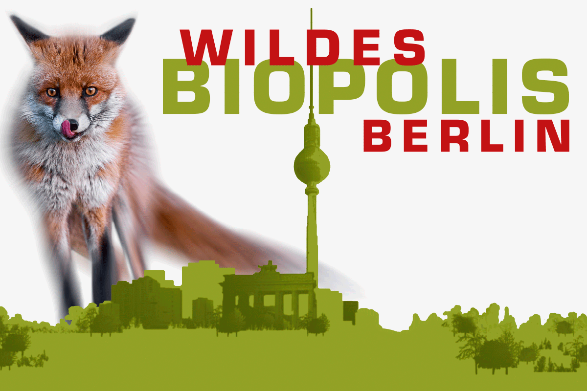 Das Foto zeigt das Plakat für die Sonderausstellung "Biopolis - Wildes Berlin".