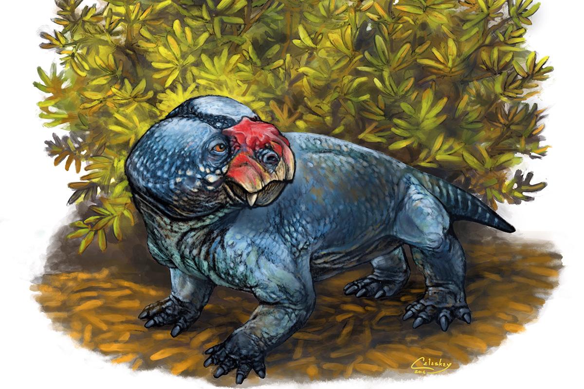 Bulbasaurus