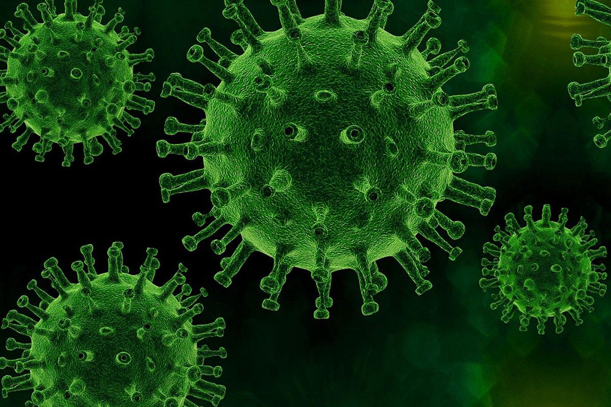 Coronavirus: Information from experts | Museum für Naturkunde