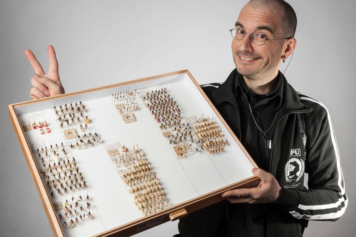 Dr. Mark Benecke mit seinen "Patenkindern": ein Sammlungskasten Markusmücken im Museum für Naturkunde Berlin, Foto Hwa Ja Götz