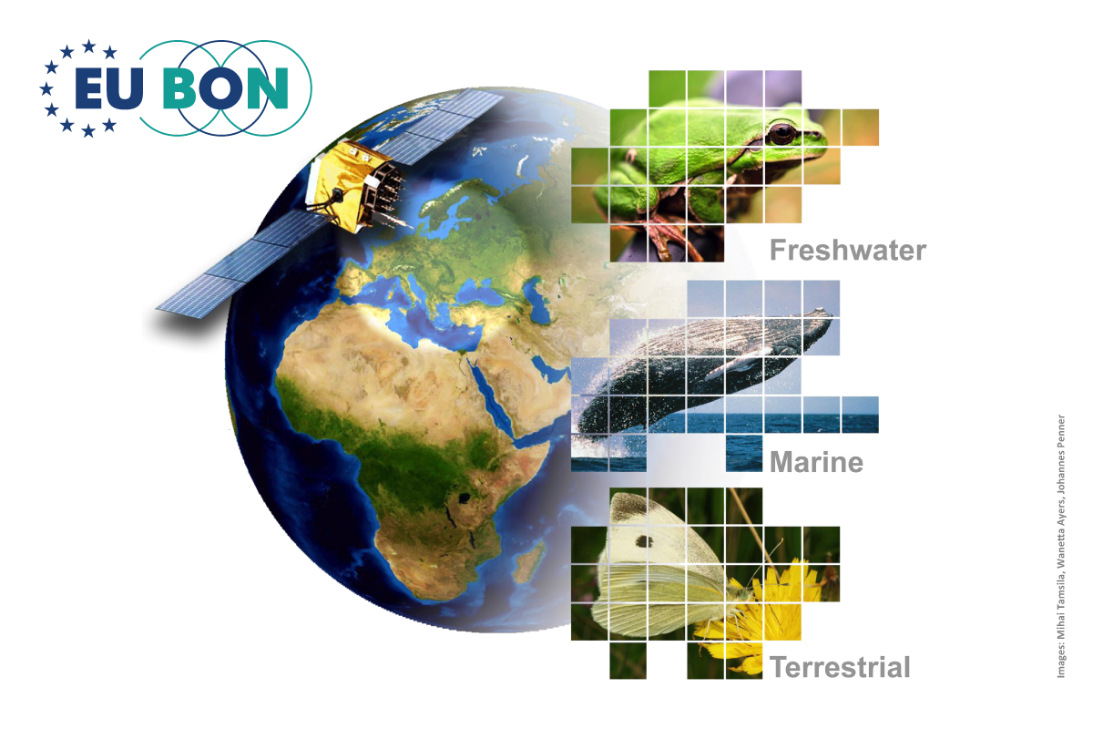 Grafik zur Darstellung des EUBON Projektes und den drei Bereichen Süßwasser, Meere und Land