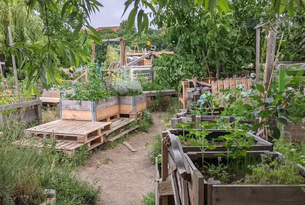 Gemeinschaftsgarten Allmende-Kontor Gemeinschaftsgarten Allmende-Kontor