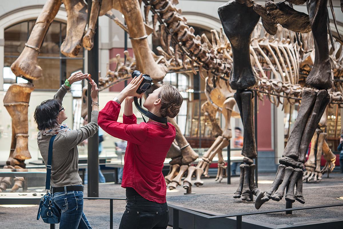 Zwei Besucherinnen fotografieren den Dinosaurier Brachiosaurus brancai