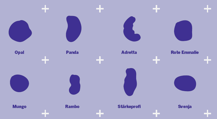 Supermarkt_picture_potato