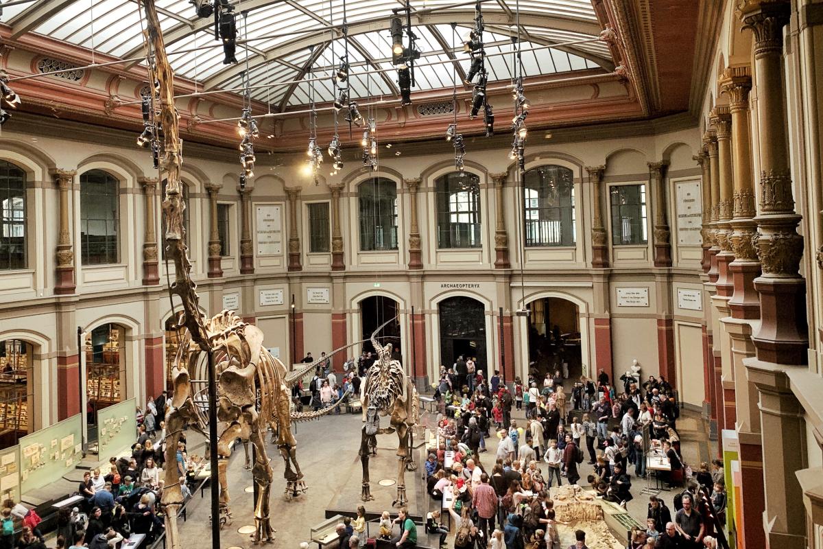 Kinderfest im Museum für Naturkunde