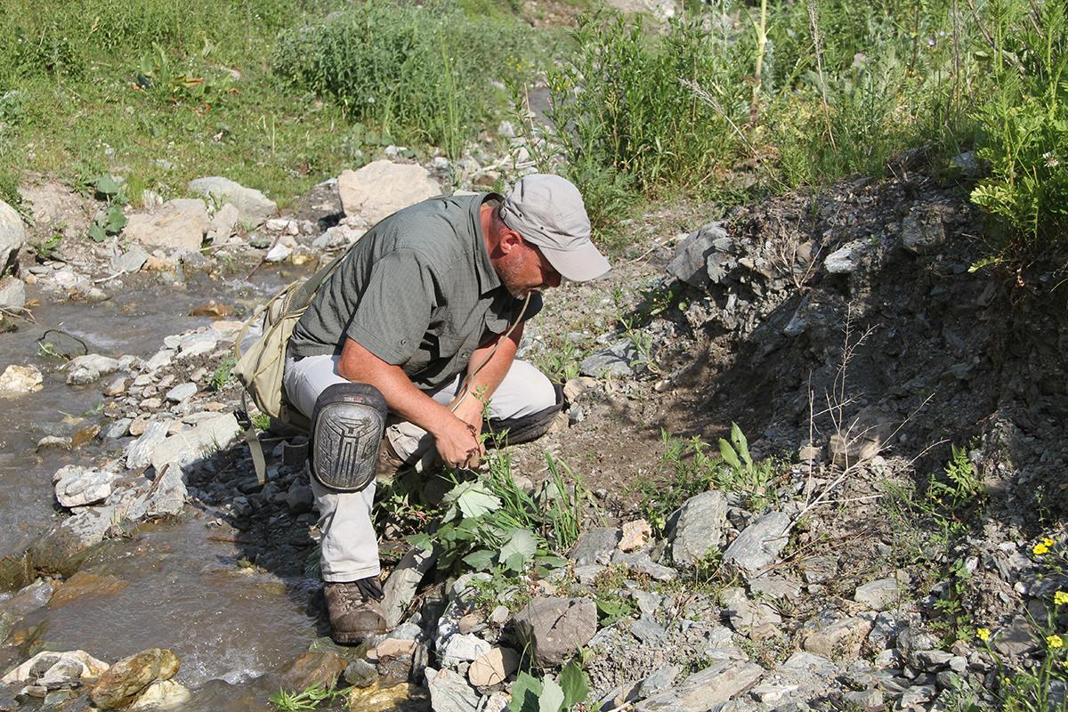 Johannes Frisch bei der Feldarbeit in Kirgisistan, Foto: Johannes Frisch, Museum für Naturkunde