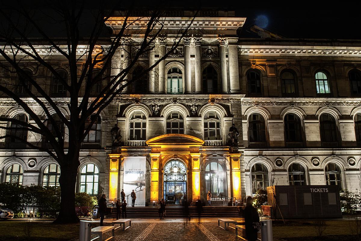 Lange Nacht der Museen im Museum für Naturkunde