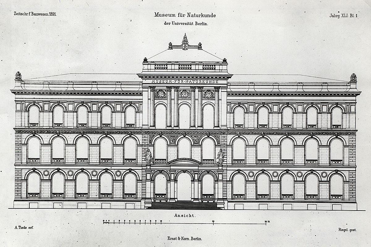 Das Foto zeigt das Museum für Naturkunde Berlin in Vorderansicht ohne die Seitenflügel im Maßstab 1 : 100.
