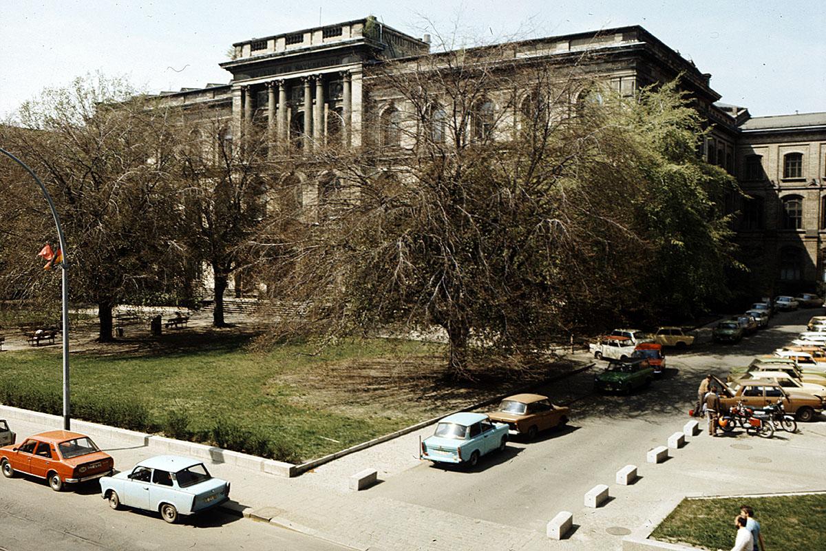 Das Foto zeigt das Museum für Naturkunde Berlin mit davor parkenden Autos.
