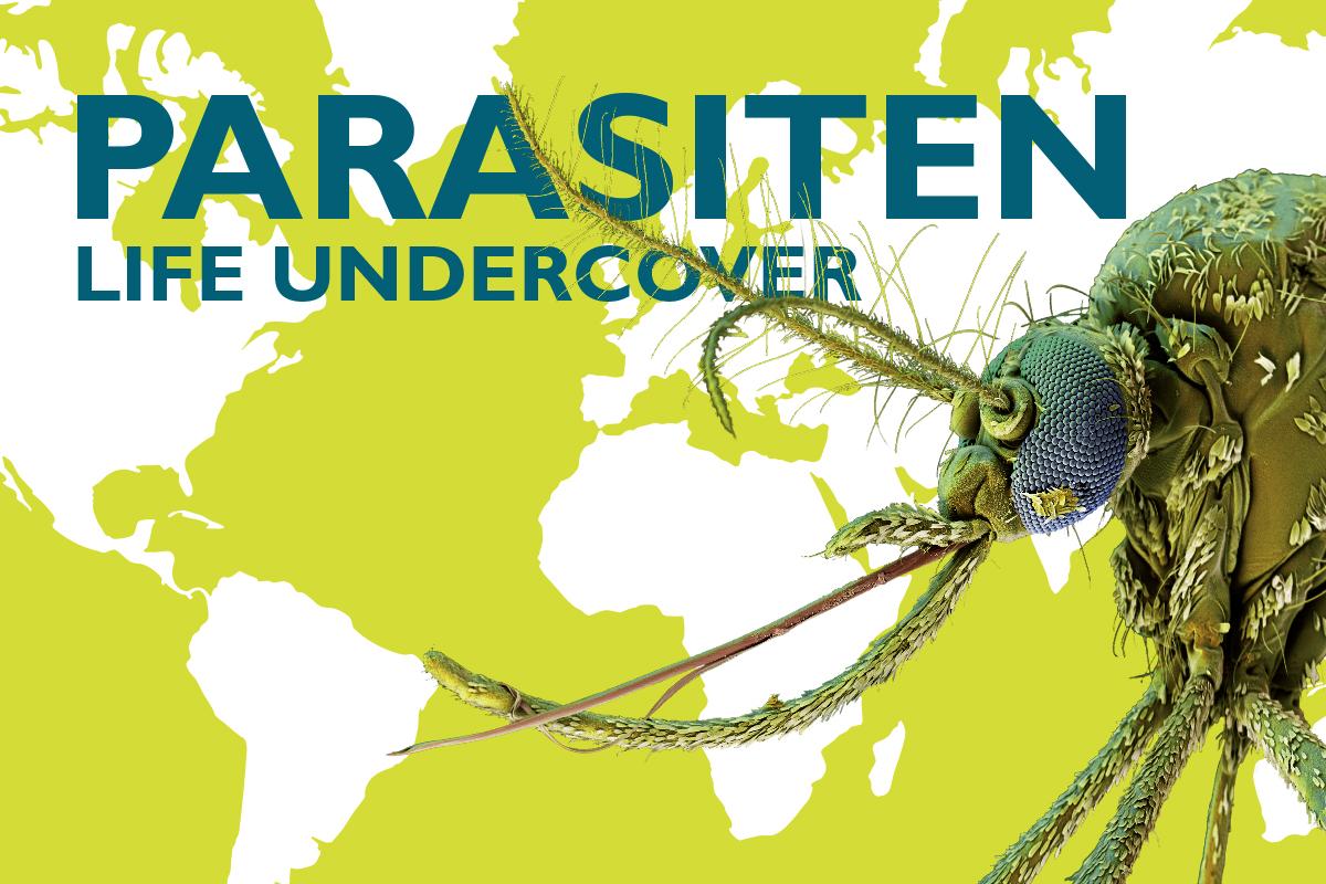 Ausstellungsplakat "Parasiten - Life Undercover"