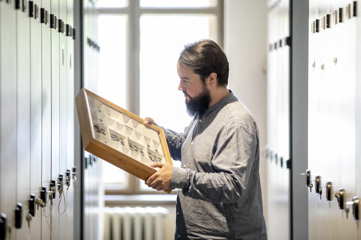 Lukas Kirschey, Leiter der Insektensammlung, prüft einen der neuen Insektenkästen.