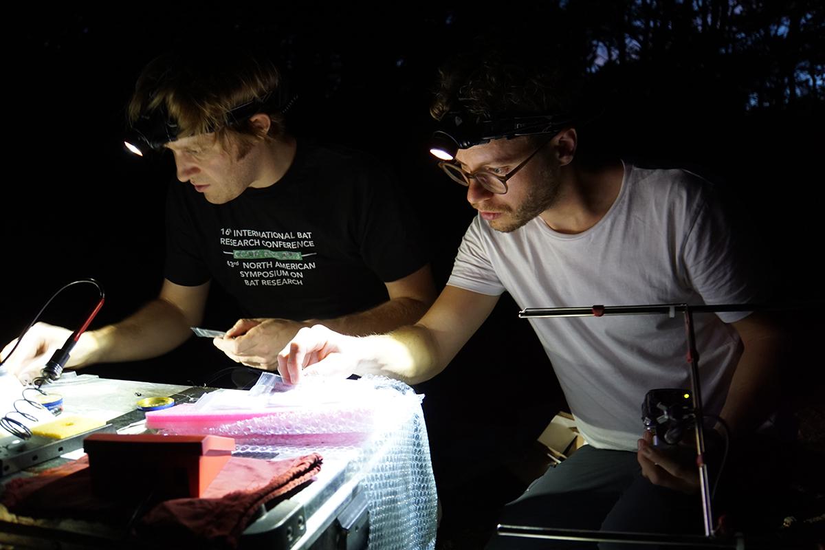 Simon Rippberger und Linus Günther bei der Arbeit im Feld mit Stirnlampe