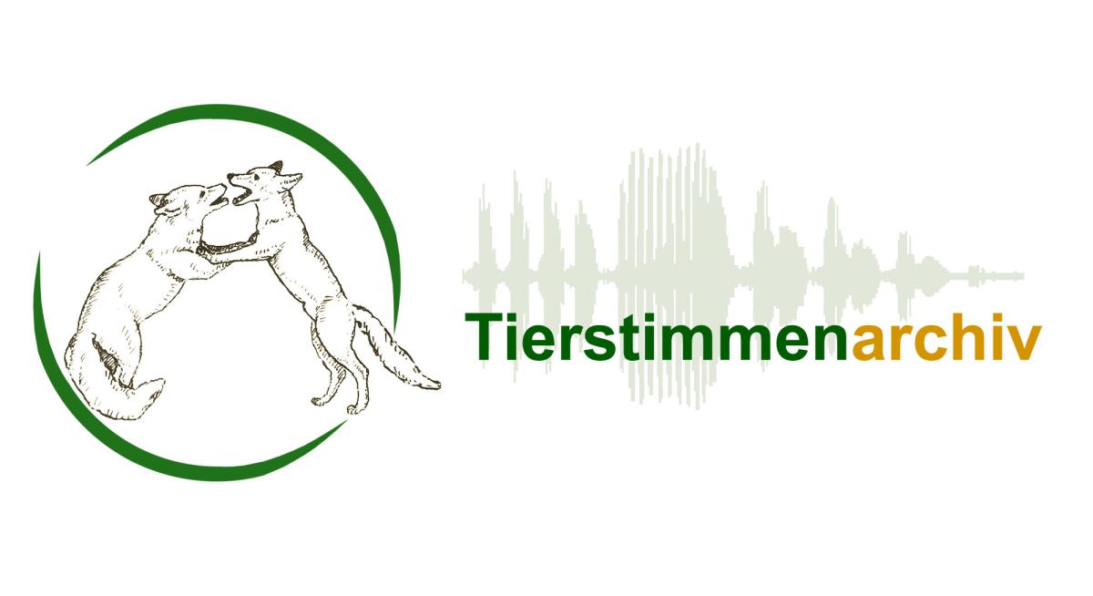 Logo des Tierstimmenarchivs
