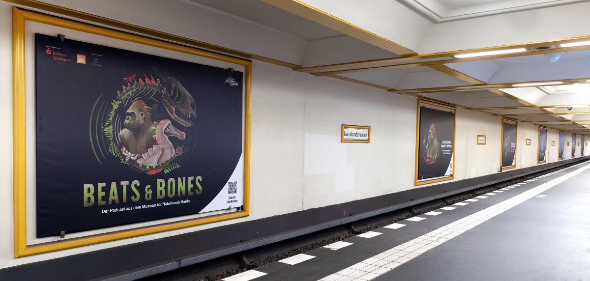 U-Bahnhof Naturkundemuseum mit Beats &amp; Bones Podcast Plakaten
