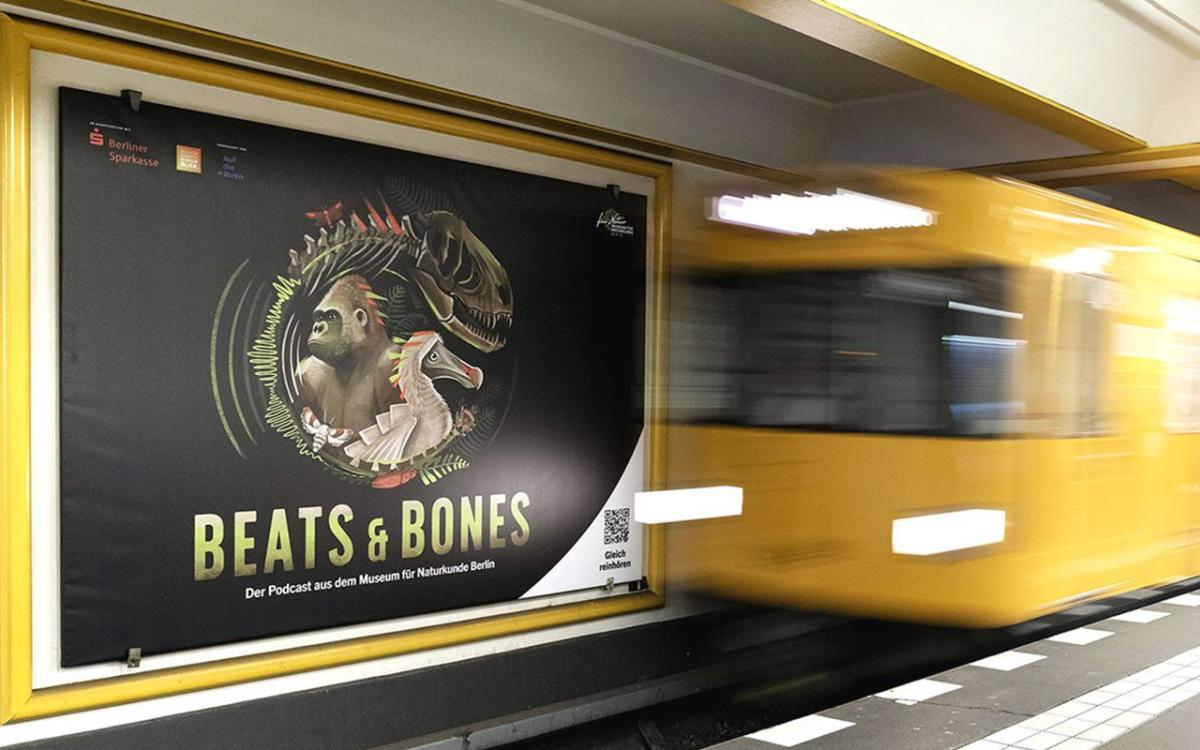 U-Bahnhof Naturkundemuseum mit Beats & Bones Podcast Plakaten