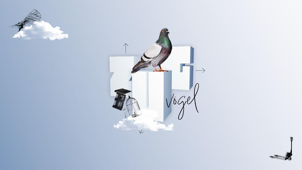 Zugvögel 