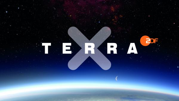Logo Terra X