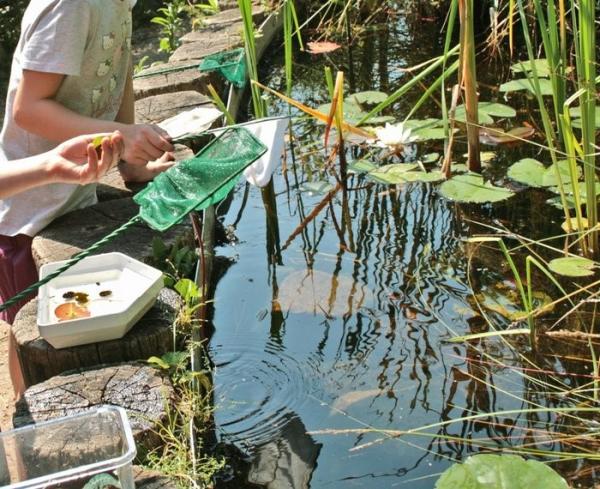 Kinder untersuchen die Tier- und Pflanzenwelt eines Teichs