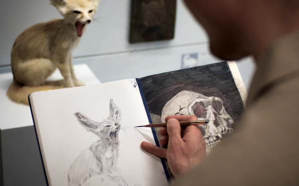 Bleistiftzeichnung eines Tieres